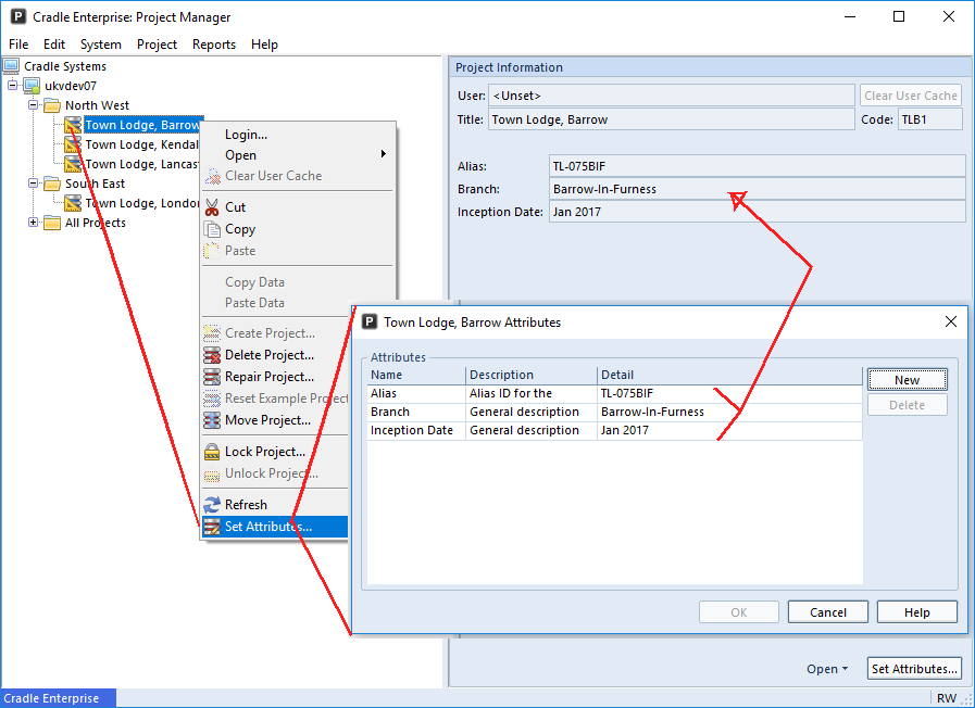 Showing the range of Project Attributes that can be set for a project