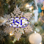 3SL Snowflake bauble