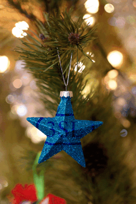 3SL Christmas star - Based on Photo by Nick Collins from Pexels