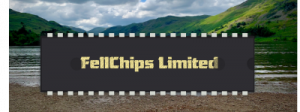 Fell Chips Fell logo based on carlitos-Generic-40-pins-IC_pexels-jude-mitchellhedges-8409988