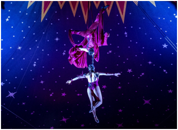 Circus Star